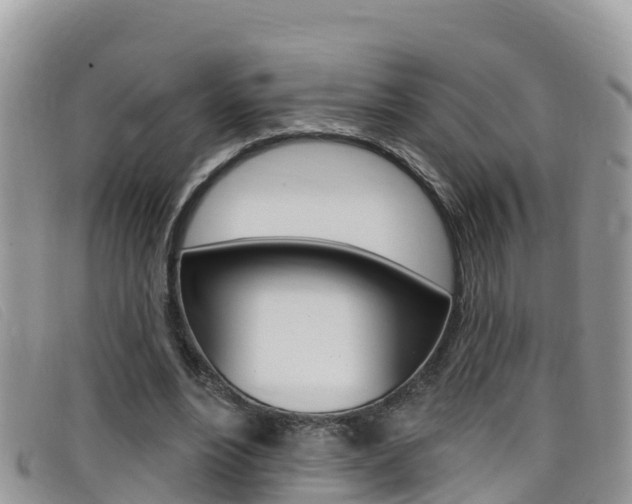 X0000099440488200805090751