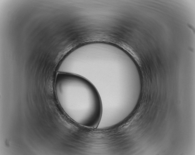 X0000099440489200805090751
