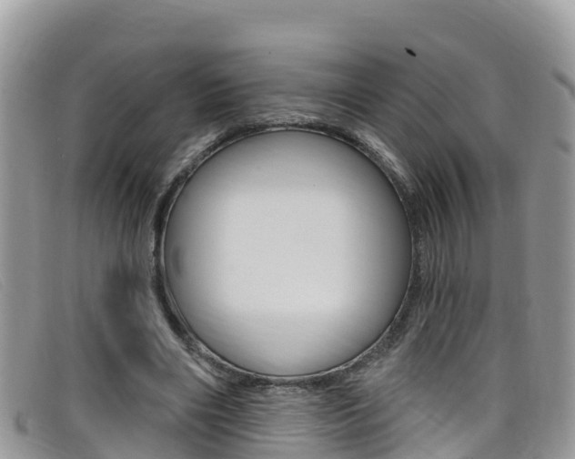 X0000099440490200805090751