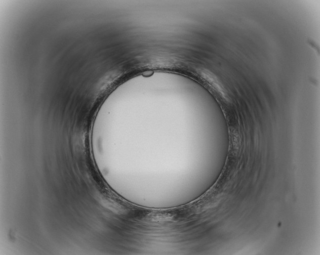 X0000099440491200805090751