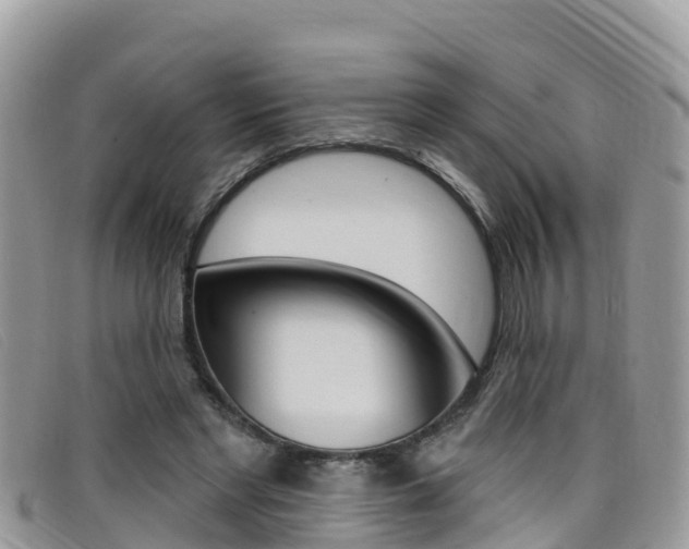 X0000099440493200805090751