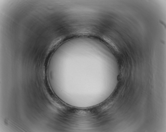 X0000099440494200805090751