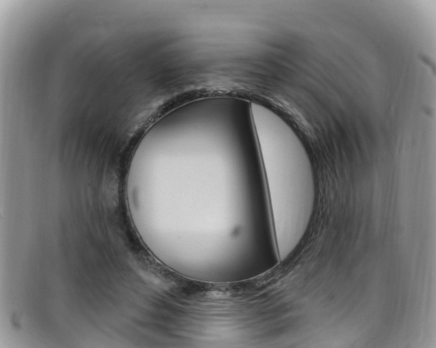 X0000099440496200805090751