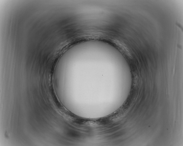 X0000099440498200805090751