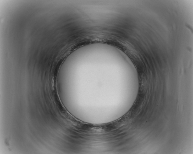 X0000099440502200805090751