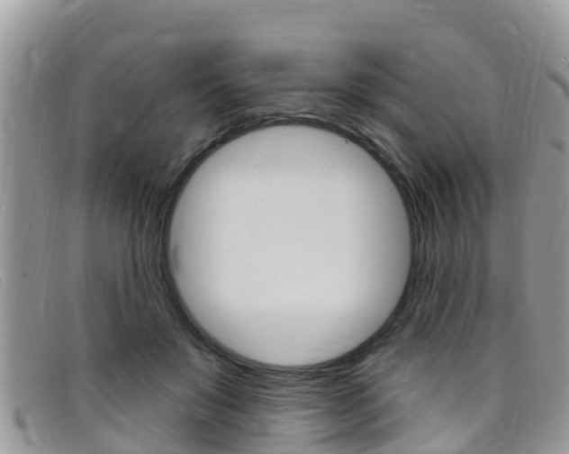 X0000099440503200805090751