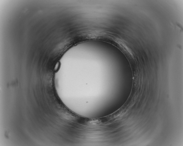 X0000099440505200805090751