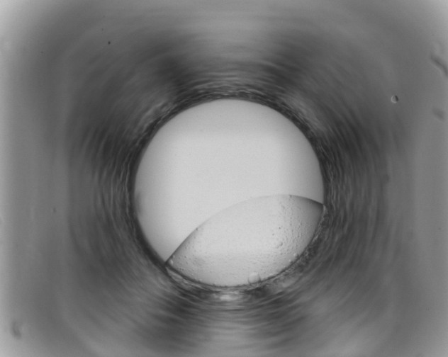 X0000099440506200805090751
