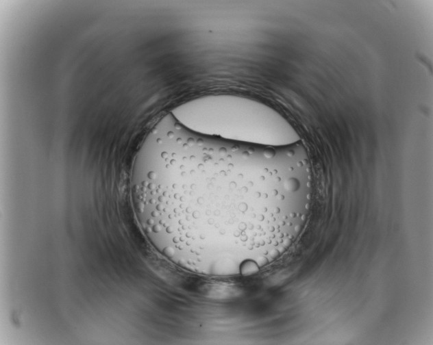 X0000099440507200805090751