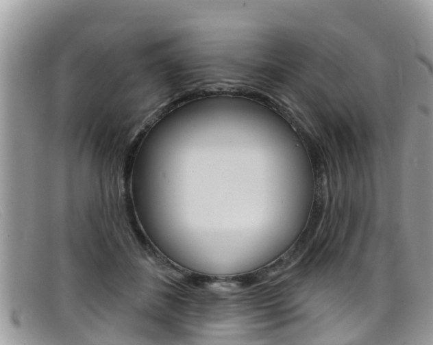 X0000099440508200805090751