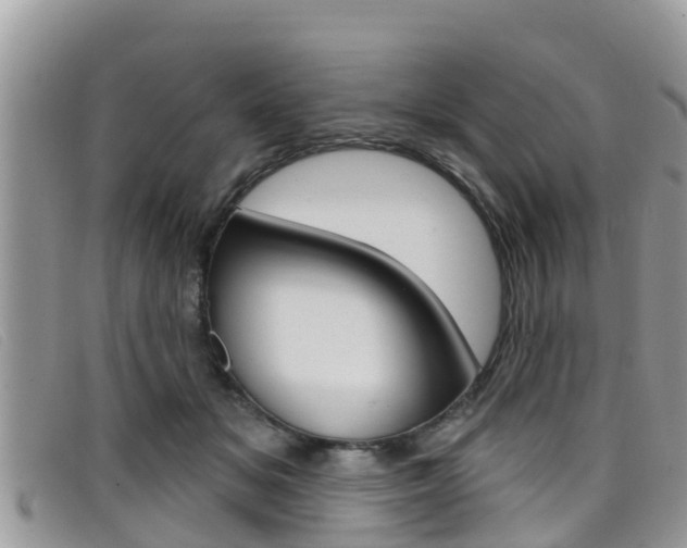 X0000099440509200805090751