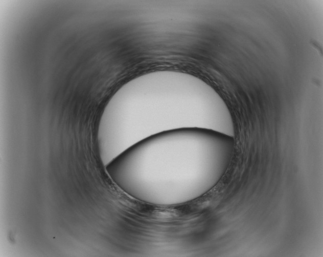 X0000099440510200805090751