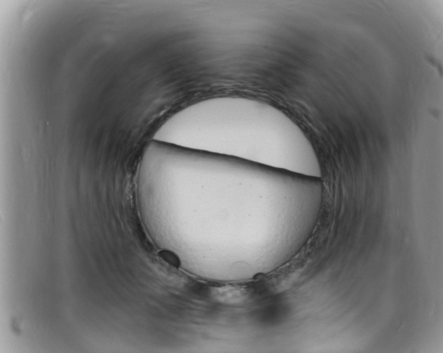 X0000099440511200805090750