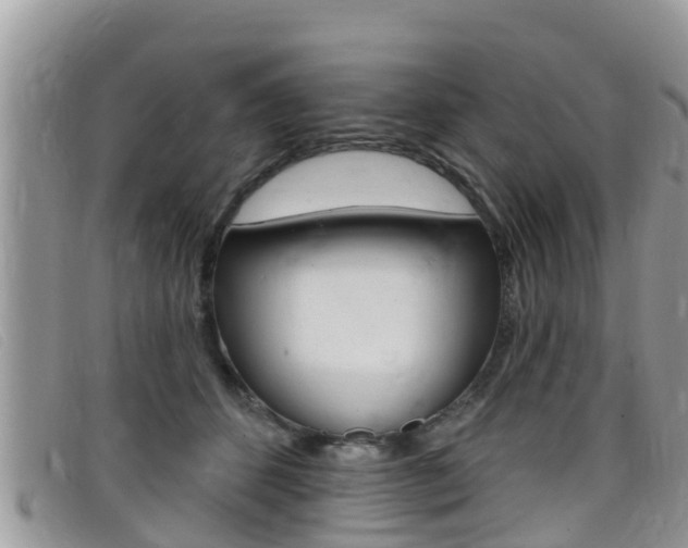 X0000099440512200805090750