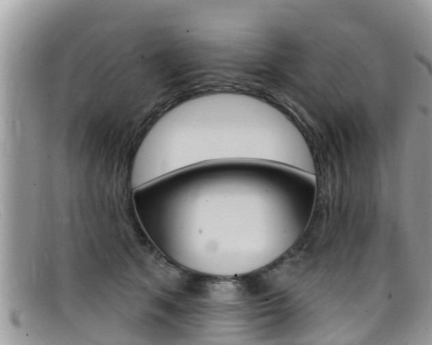 X0000099440513200805090750