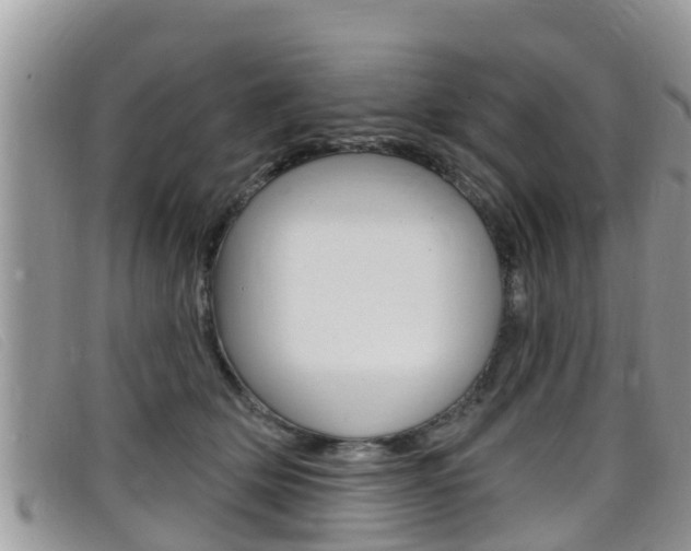 X0000099440514200805090750