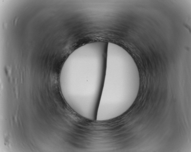 X0000099440518200805090750
