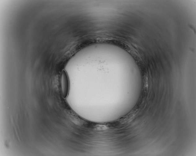 X0000099440519200805090750