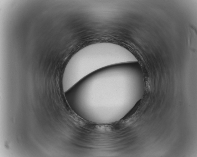X0000099440520200805090750