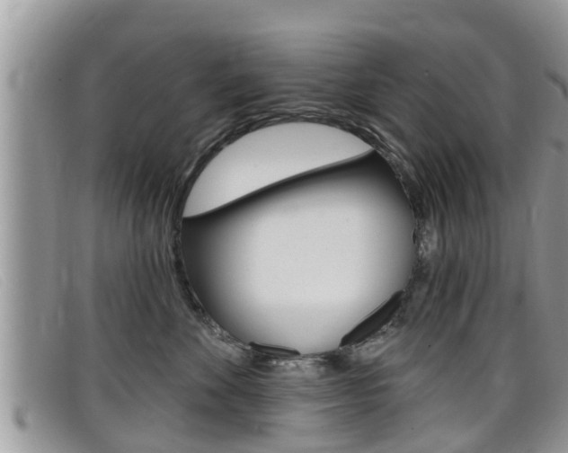 X0000099440524200805090750