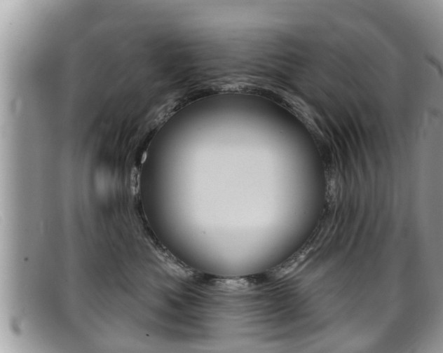 X0000099440525200805090750