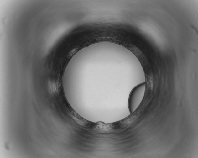 X0000099440526200805090750