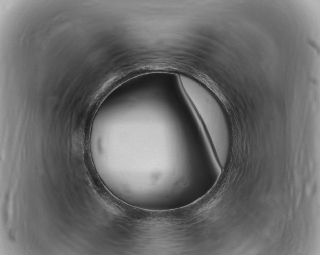 X0000099440530200805090750