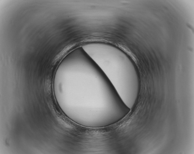 X0000099440533200805090750