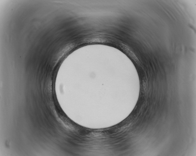 X0000099440534200805090750