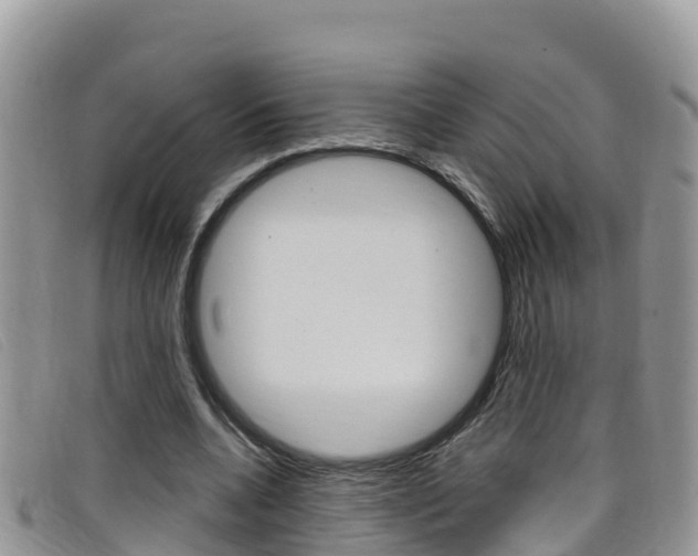 X0000099440536200805090750