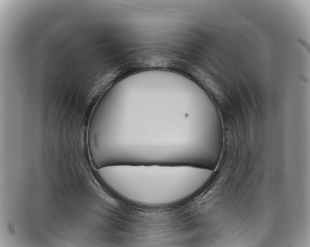 X0000099440537200805090750