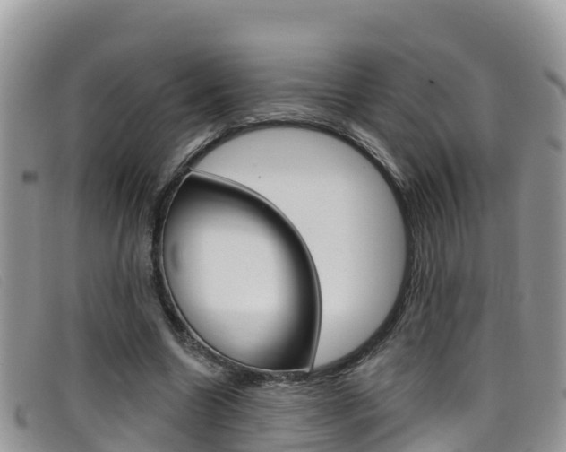 X0000099440538200805090750