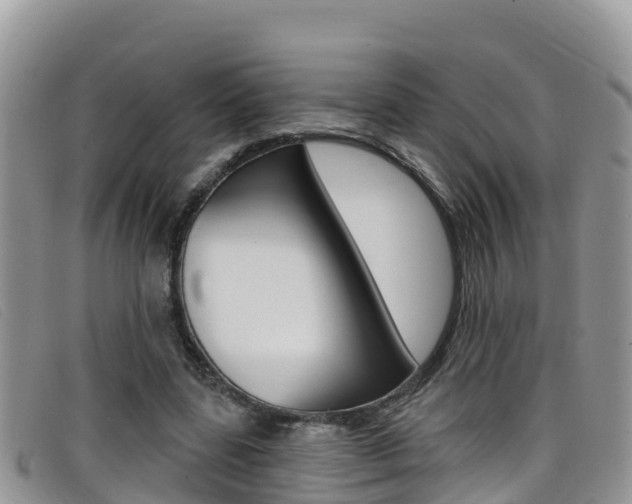 X0000099440539200805090750