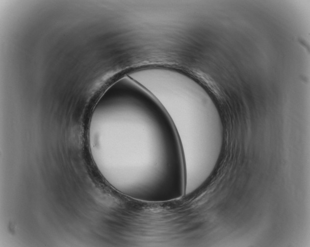 X0000099440540200805090750