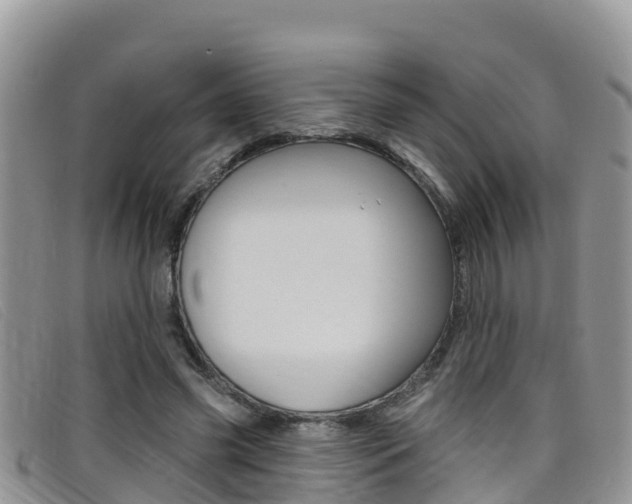 X0000099440541200805090750