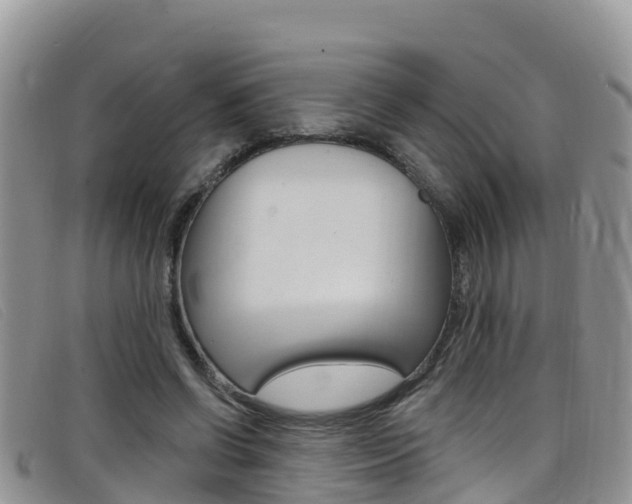 X0000099440542200805090750