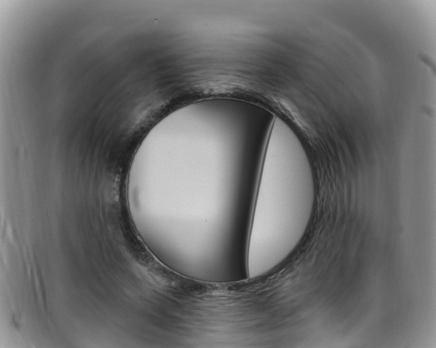 X0000099440543200805090750