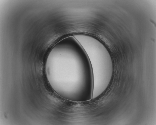 X0000099440544200805090750