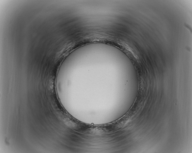 X0000099440545200805090750