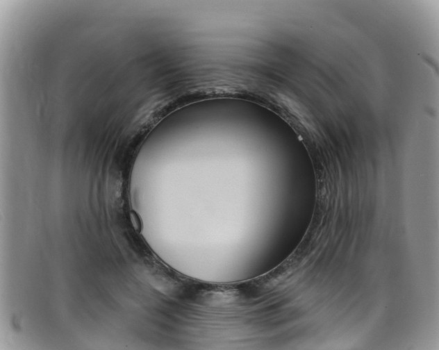X0000099440548200805090750