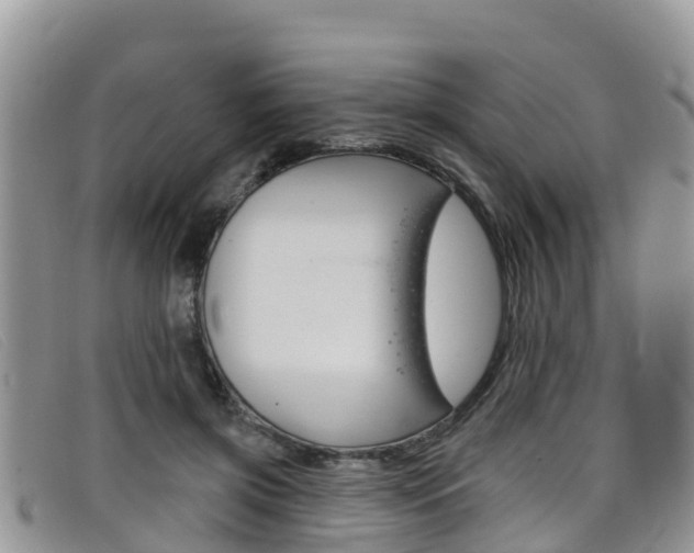 X0000099440549200805090750
