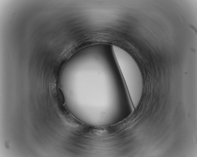 X0000099440552200805090750
