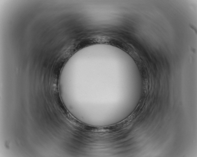 X0000099440553200805090750