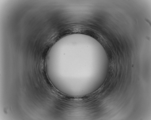 X0000099440554200805090750
