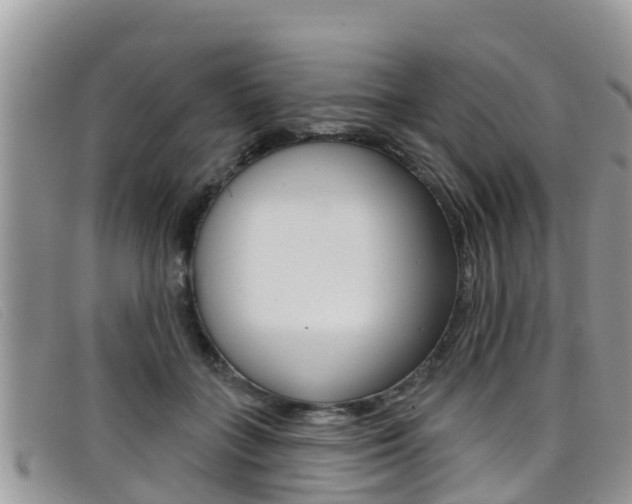 X0000099440555200805090750