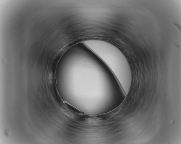 X0000099440556200805090750