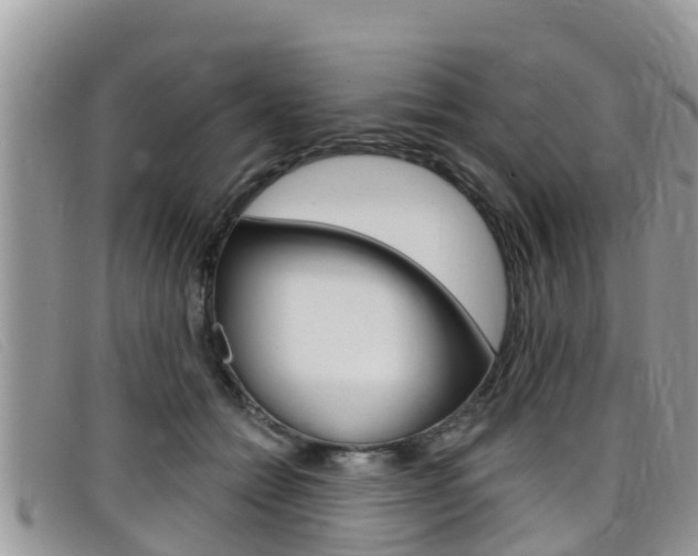 X0000099440558200805090750