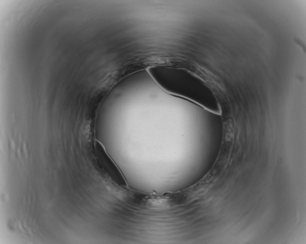 X0000099440560200805090750