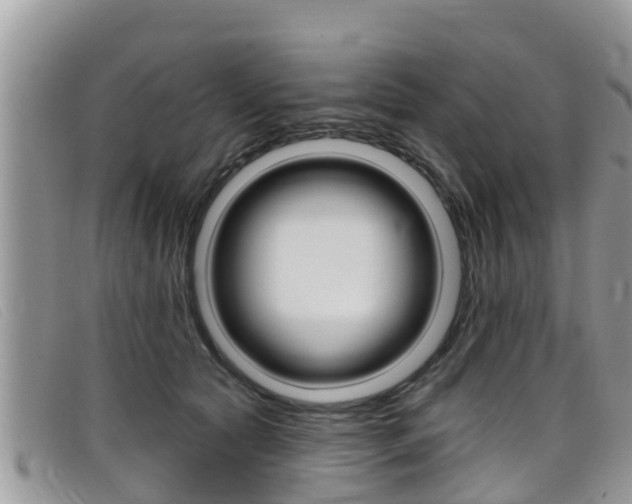 X0000099440561200805090750
