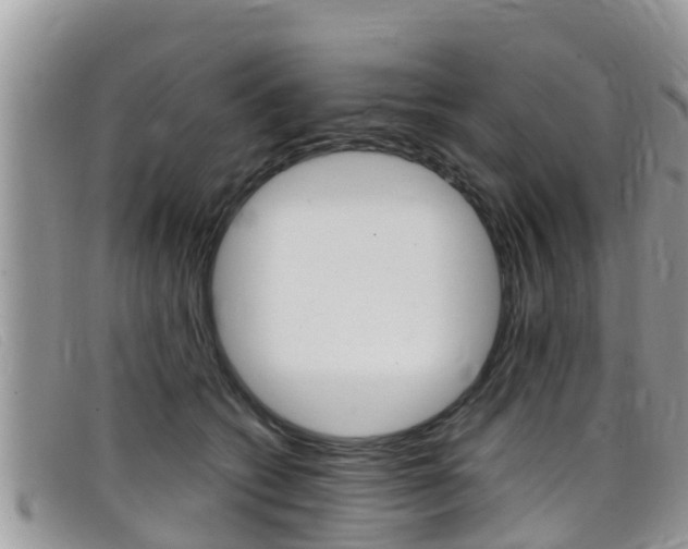X0000099440562200805090750